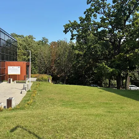 Legowisko Nad Lega Centrum Olecka 公寓 *
